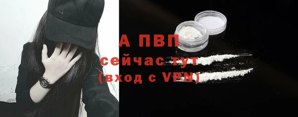 PSILOCYBIN Сосновоборск
