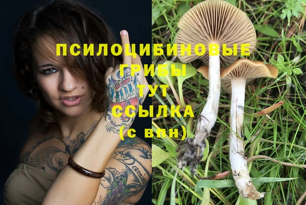 твердый Володарск