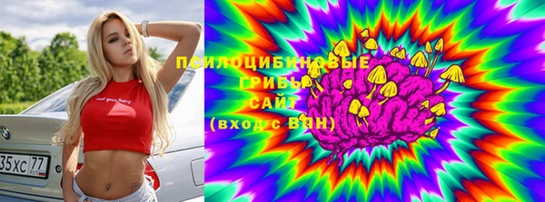 гашик Верея