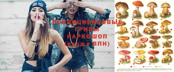 амф Сосновый Бор