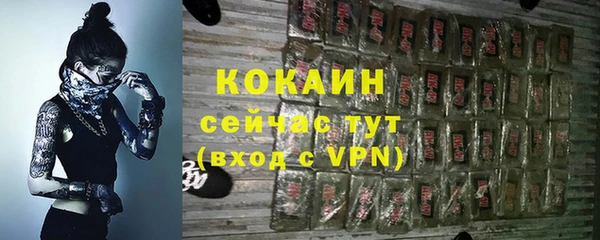 спайс Тавда
