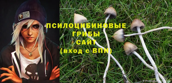 гашик Верея